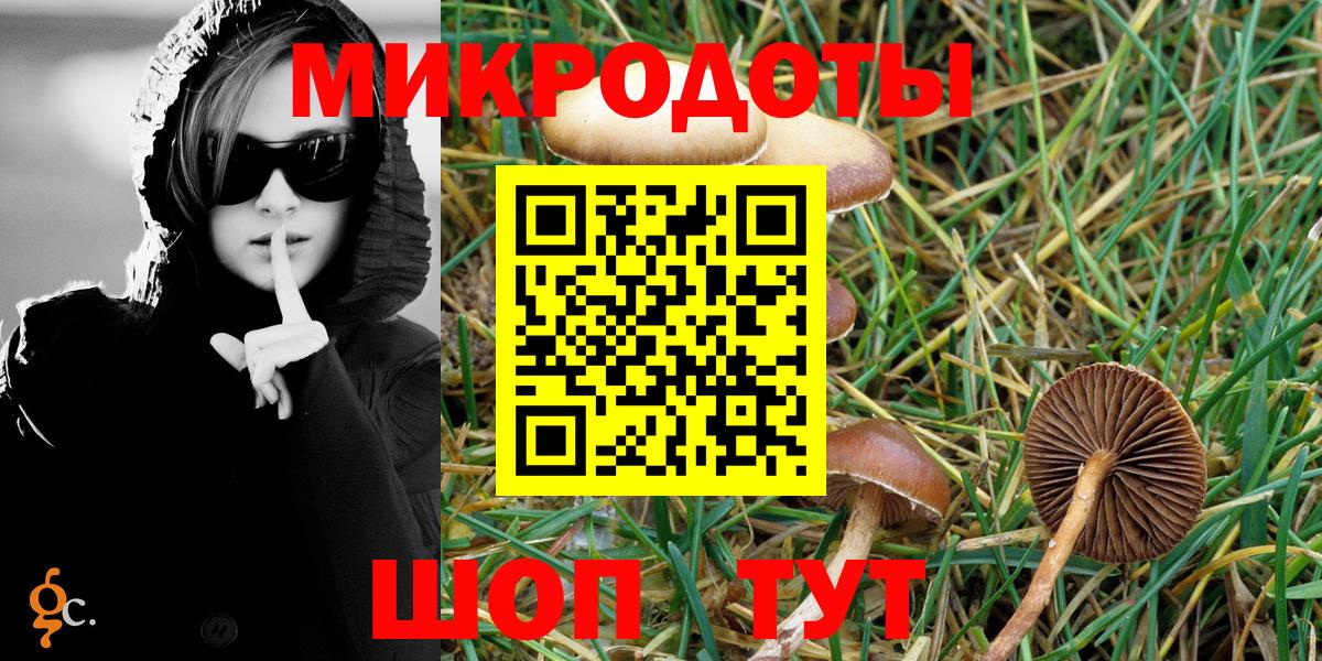 Пенза  Псилоцибиновые грибы мухоморы  Вход с VPN 